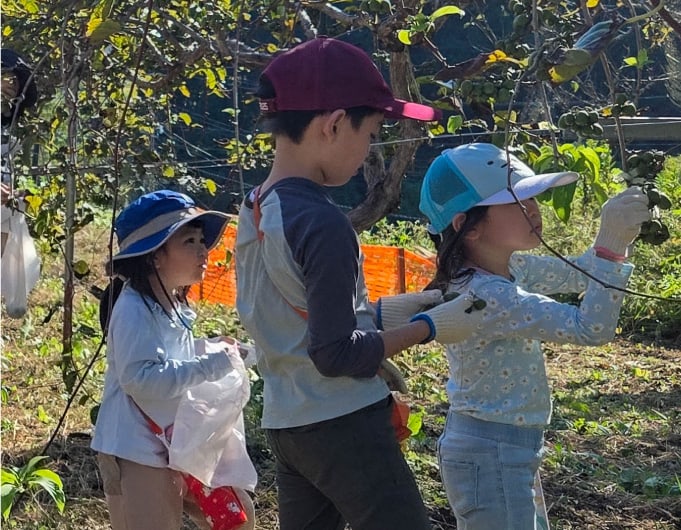 自然に触れる！子どもがのびのびと学べる暮らし